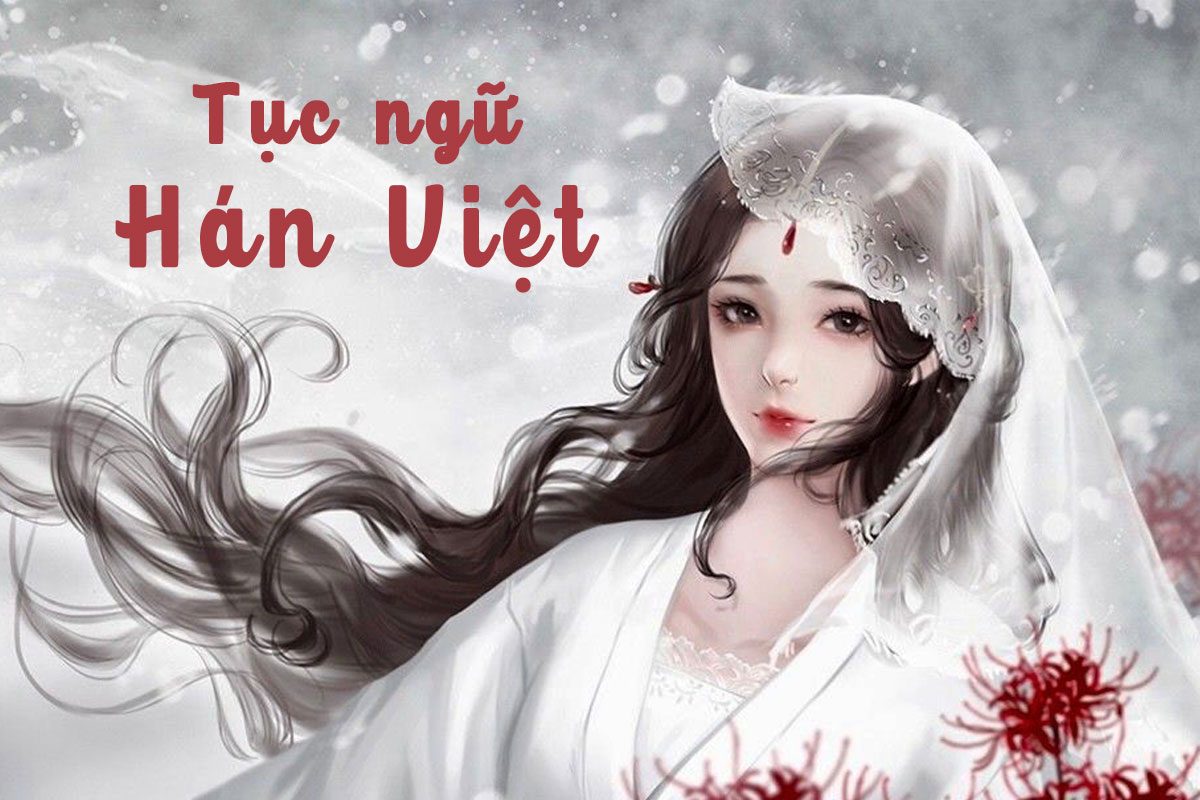 tuyen-chin-tuc-ngu-han-viet.jpg